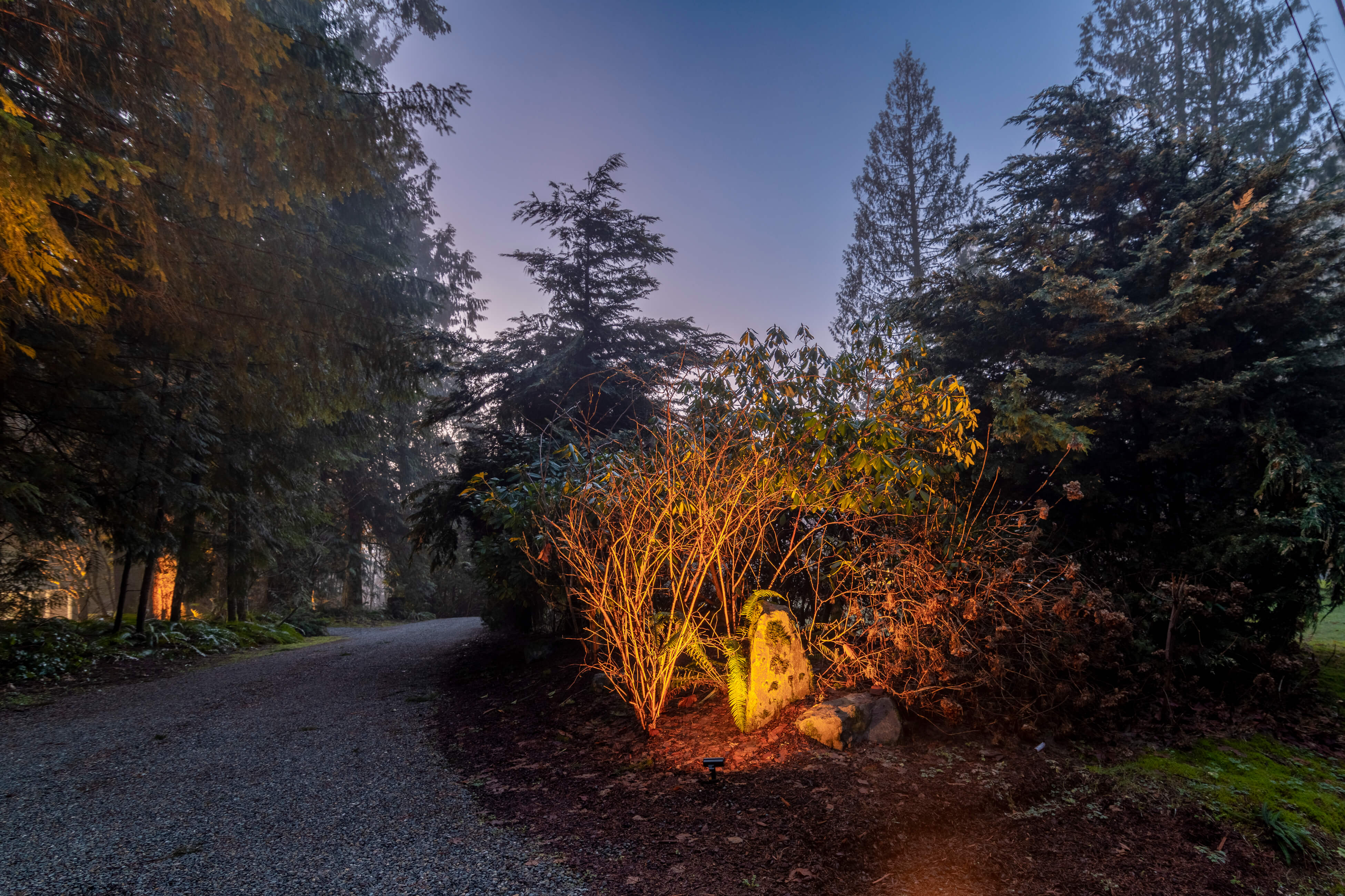 Homestore and more garden lights deals